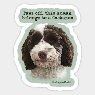 Cockapoo Dog Sticker